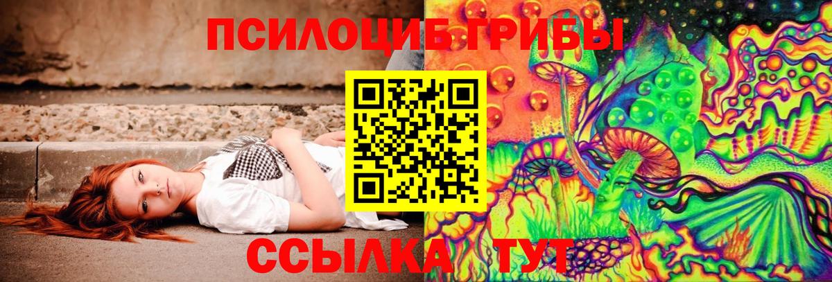 Галлюциногенные грибы Psilocybine cubensis Грязи